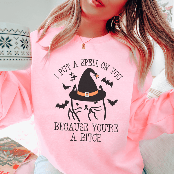 I Put A Spell On You Sweatshirt Light Pink / S Peachy Sunday T-Shirt