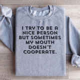 I Try To Be A Nice Person Sweatshirt Sport Grey / S Peachy Sunday T-Shirt