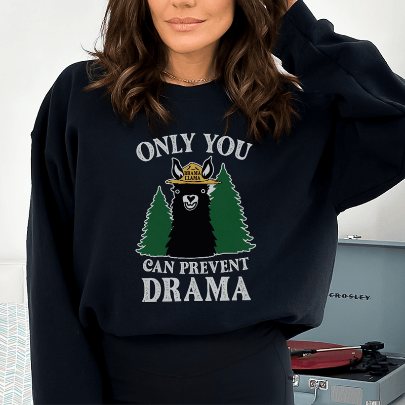 Only You Can Prevent Drama Sweatshirt Black / S Peachy Sunday T-Shirt