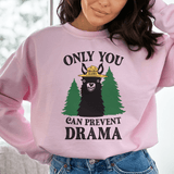 Only You Can Prevent Drama Sweatshirt Light Pink / S Peachy Sunday T-Shirt