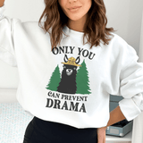 Only You Can Prevent Drama Sweatshirt White / S Peachy Sunday T-Shirt