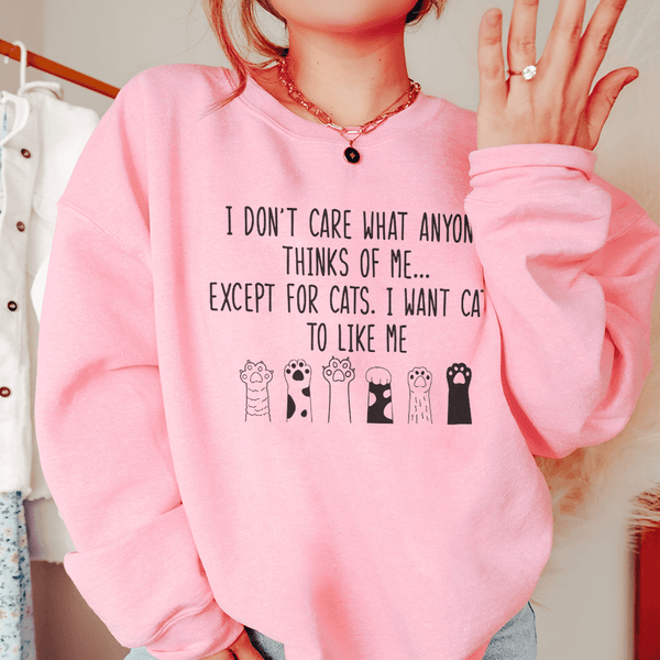 I Want Cats To Like Me Sweatshirt Light Pink / S Peachy Sunday T-Shirt